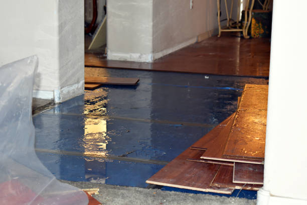 Professional Burst Pipe Cleanup technician working in Louviers, CO