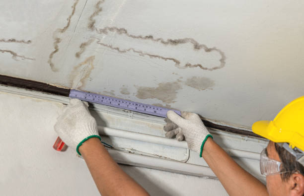 Reliable Burst Pipe Cleanup contractor in Louviers, CO by Water Damage Irwin
